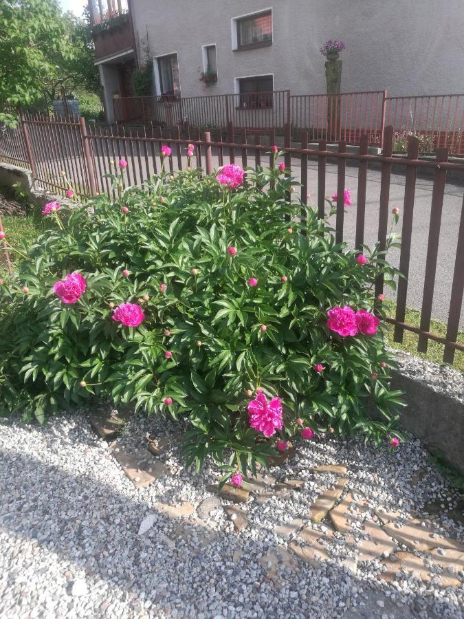 ŽiarDrevenica Zapadne Tatry S Kupacou Kadou A Krbom公寓 外观 照片