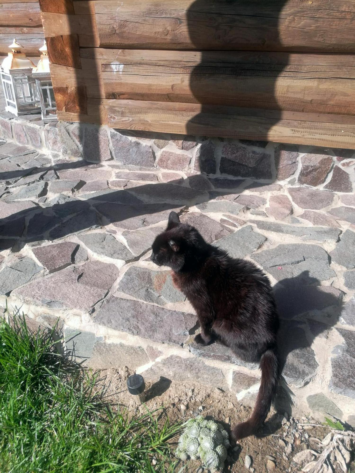 ŽiarDrevenica Zapadne Tatry S Kupacou Kadou A Krbom公寓 外观 照片